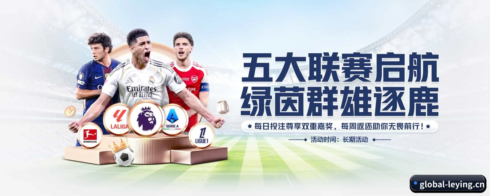 乐盈的生长脉络